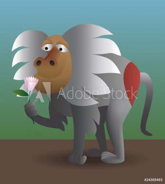 baboon sniffing flower