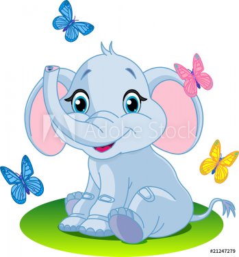 Baby elephant - 900497992