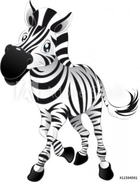 Baby Zebra - 900455782