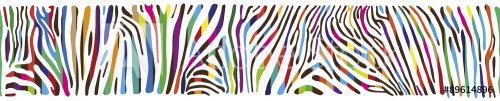 Background with multicolored Zebra skin  - 901147652