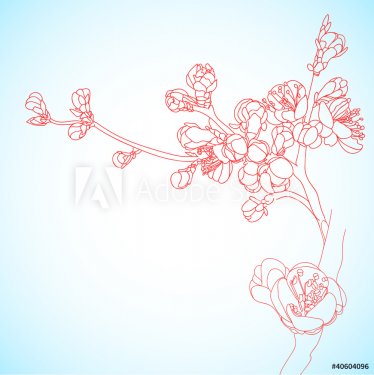 background with sakura flowers - 900458631