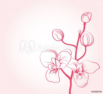 background with sakura flowers drawing