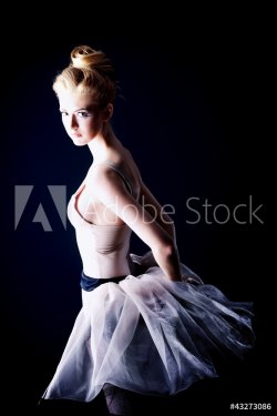 ballet dancer - 900511360
