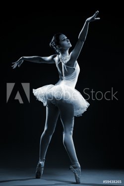 Ballet Dancer - 901142979