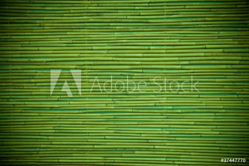 bamboo - 900154396