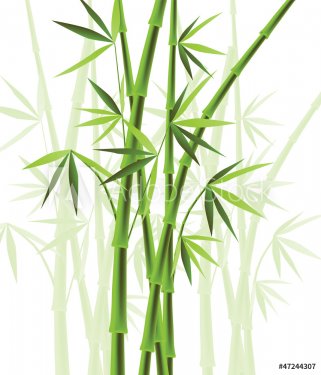 Bamboo - 901149260