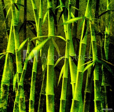 bamboo trees - 900461207