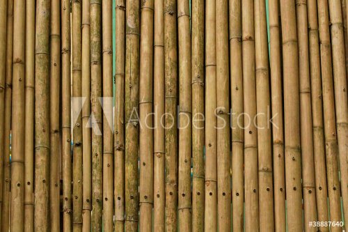 Bamboo wall - 900157421