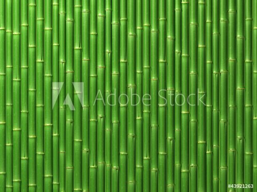 Bamboo wall - 901137831