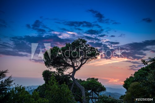 Barcelona Sunset from Mountain Tibidado  - 901149648