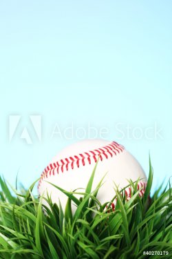 Baseball in grass - 900267043