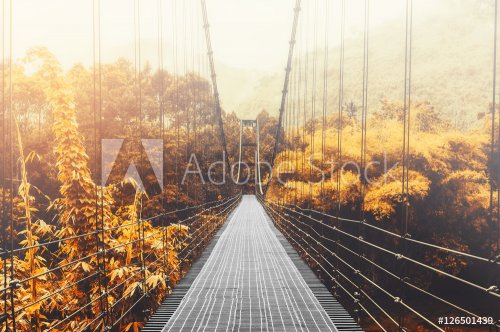 Beautiful autumn forest and sunlight, with steel suspension bridge at foggy day in the morning, vintage tone