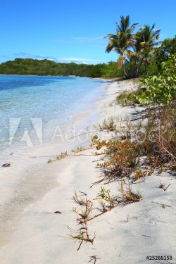 Beautiful beach in the British Virgin Islands - 901141116