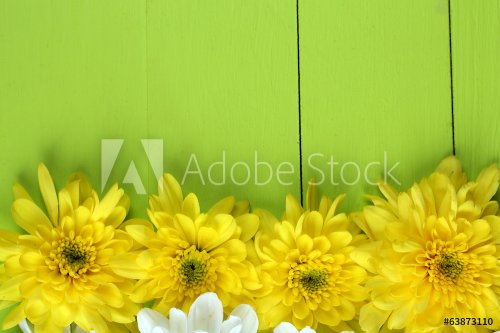 Beautiful chrysanthemum flowers on wooden table close-up - 901142056