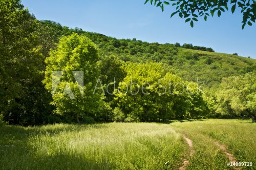 Beautiful countryside scene - 900636495