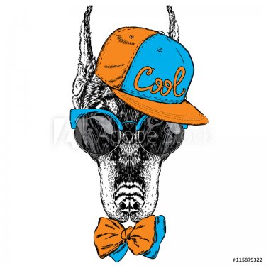Beautiful Doberman wearing glasses, a cap and tie. Vector  for greeting card, poster, or print on clothes. Pedigree dog.