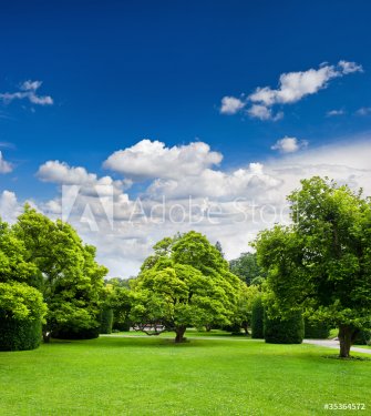 beautiful park trees over blue sky. formal garden - 900072259