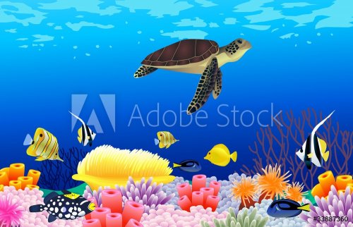 Beautiful sealife background - 900461246