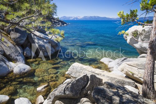 Beautiful Shoreline of Lake Tahoe - 901143690