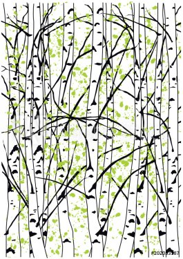 Beautiful sping birch tree forest. Simple vector illustration of spring birch trees.