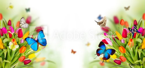 Beautiful spring flowers with butterflies - 900437122