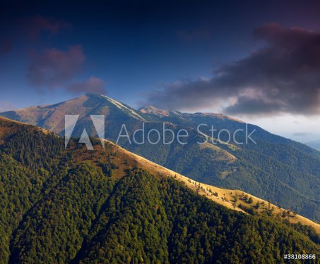 Beautiful summer landscape in the mountains. Sunrise - 900143308