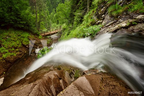 Beautiful waterfall in the forest - 901144637