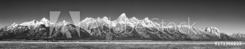Black and white panoramic picture of the Grand Teton Mountain Range in autumn... - 901153016