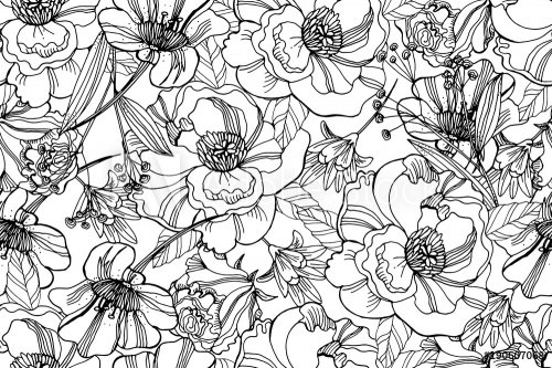 Black and white seamless pattern with beautiful ranunculus and meadow flowers... - 901152907