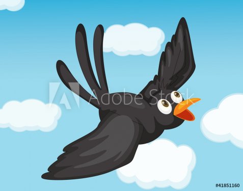 Black bird - 900460659
