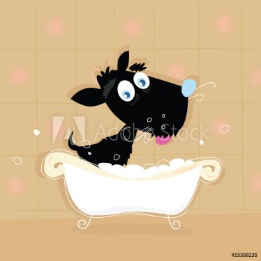 Black dog bath. Bathing black small doggie. VECTOR ILLUSTRATION. - 900706059
