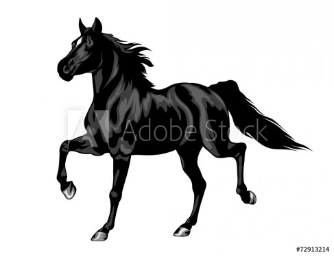 Black Horse - 901154221