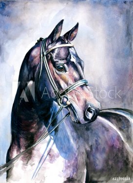 Black horse watercolor painted. - 901148620