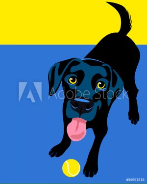 Black Labrador Retriever playing fetch - 901142743