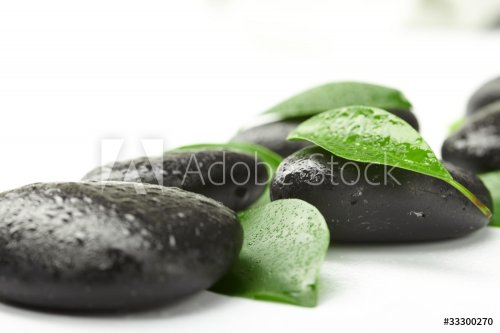 black stones and green leaves - 901139577