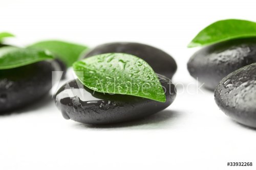 black stones and green leaves - 901139579