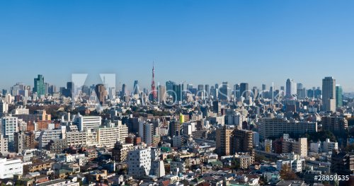 Blue sky panoramic view over downtown Tokyo