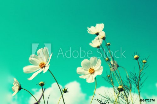 Blurred flower fields background, retro style color.
