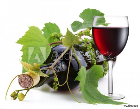 Bottle of wine entwined with vine and full glass - 900064324