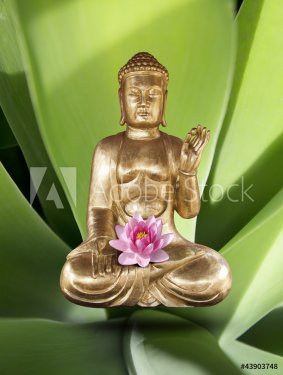 Bouddha et Meditation - 901137783