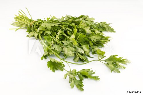 Bouquet of parsley on white background