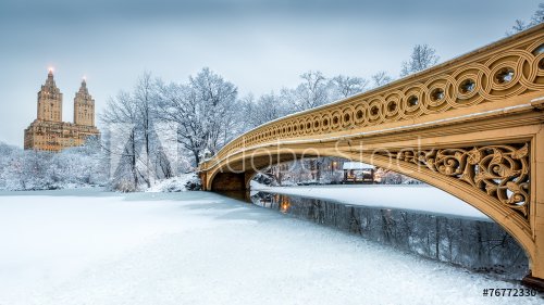 Bow Bridge in Central Park, NYC - 901146792