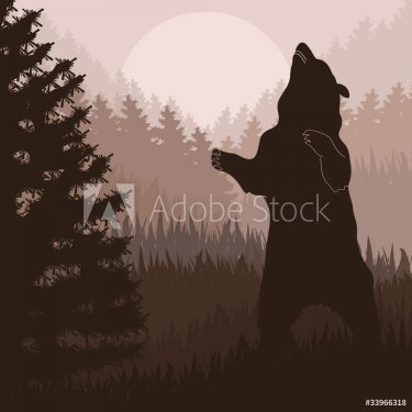 Brown bear in wild forest foliage