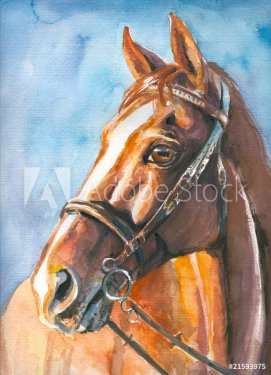 Brown horse watercolor painted. - 900458861