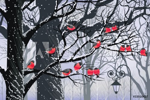 Bullfinches on trees in winter city - 900461666