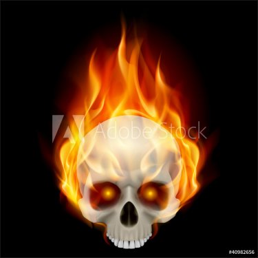 Burning skull - 900692478