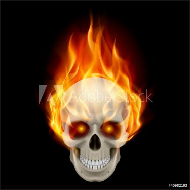 Burning skull - 900692480