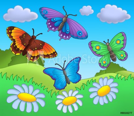 Butterflies on meadow