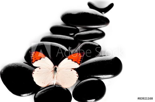 Butterfly and black stones. - 901145292