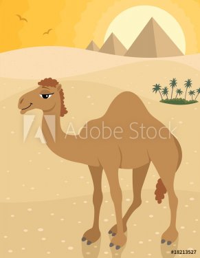 Camel - 900488367